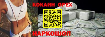 индика Камышлов
