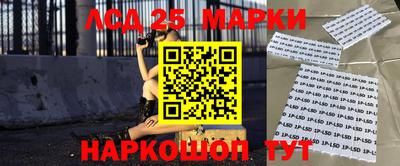 индика Камышлов