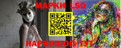индика Камышлов