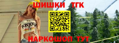 индика Камышлов