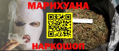 индика Камышлов