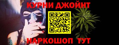 индика Камышлов