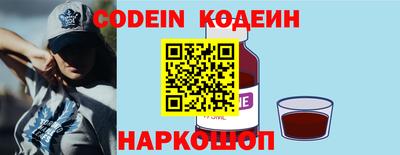 индика Камышлов