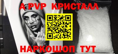 индика Камышлов