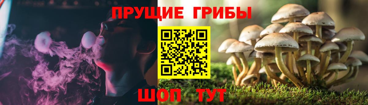 Лангепас  Псилоцибиновые грибы мицелий  Вход с VPN 